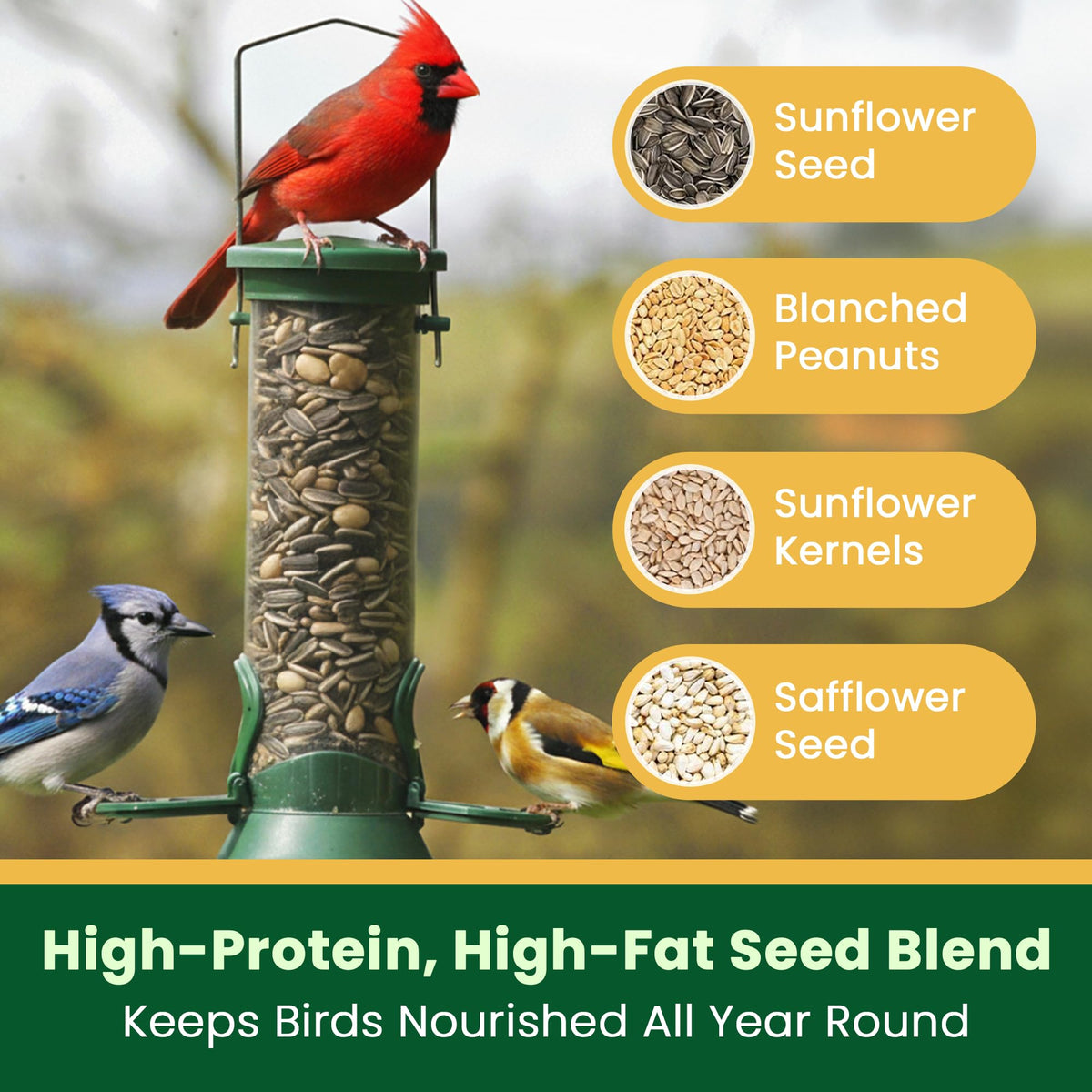 Happy Wings no-mess feeder area shows cleaner yard space.