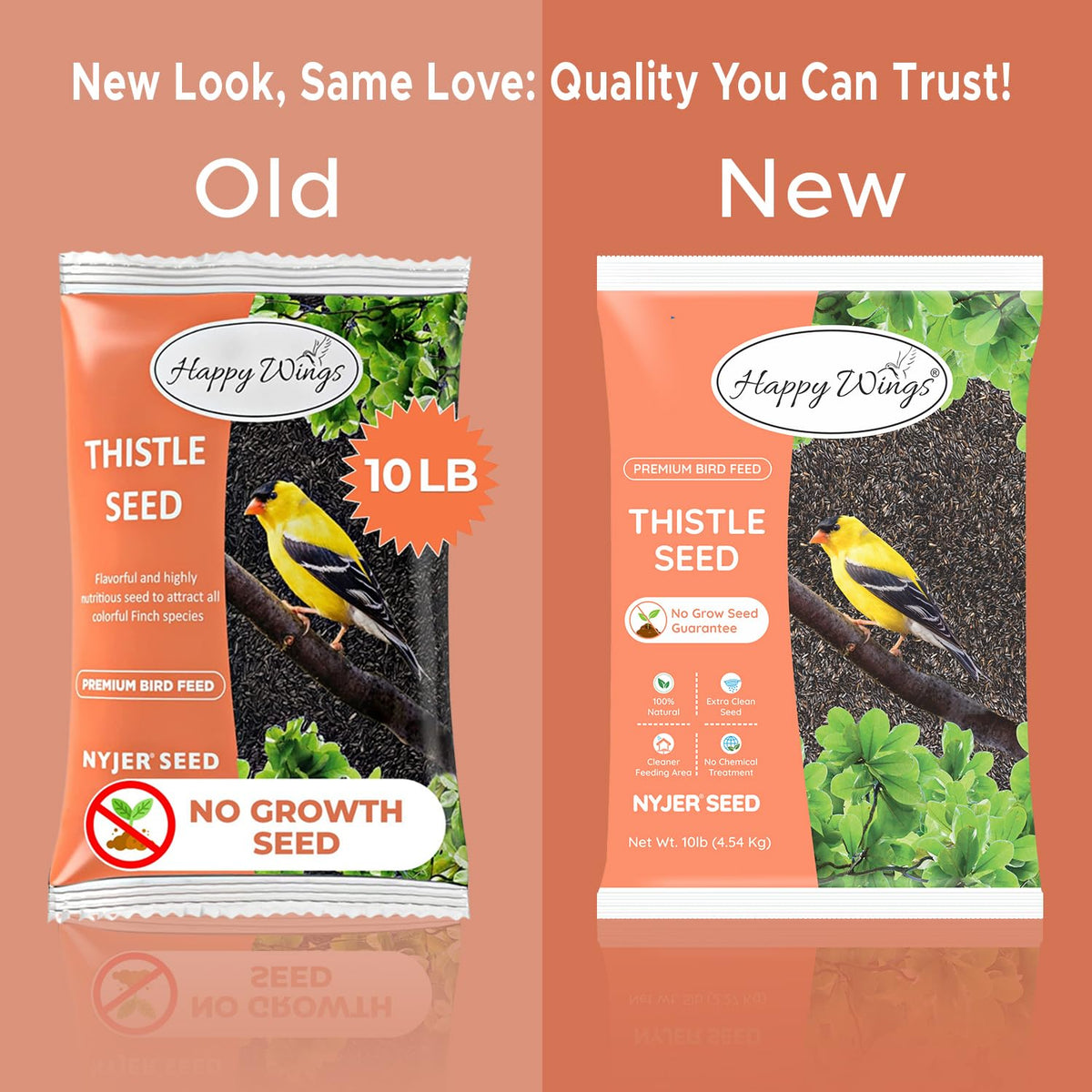 Happy Wings Nyjer seed in tube feeder attracting finches and songbirds