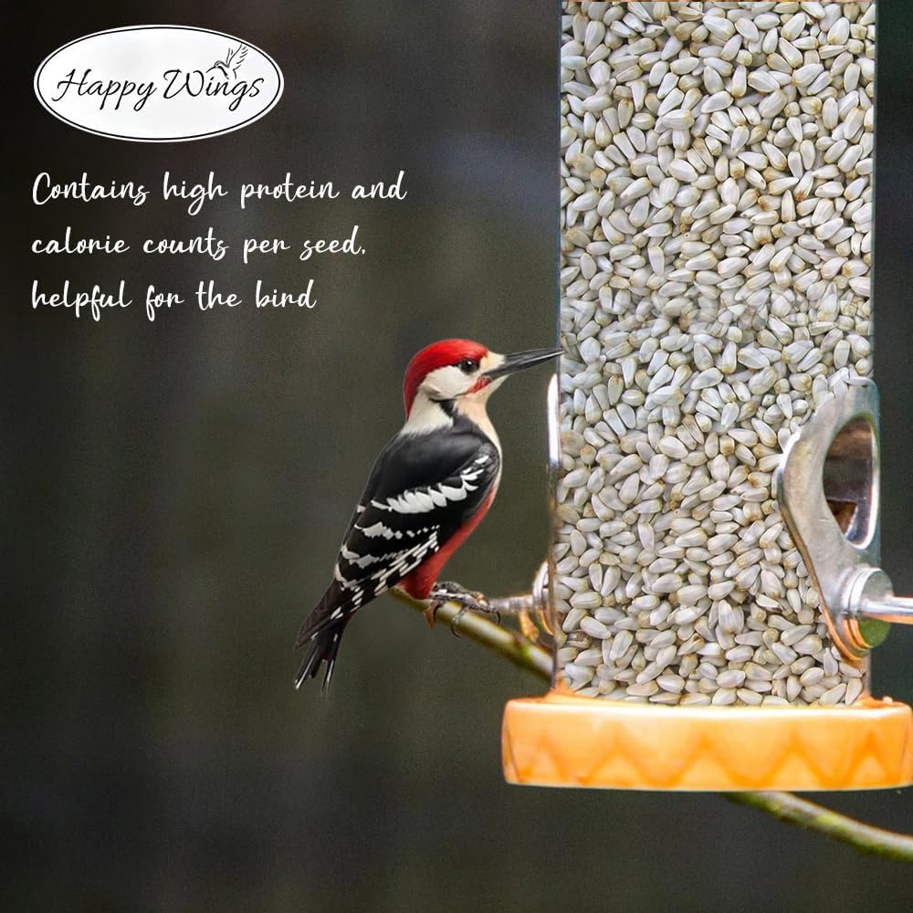 Happy Wings safflower seeds attract Mourning doves and cardinals at feeders.