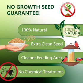 Happy Wings safflower seeds processed in USDA approved facility for quality.