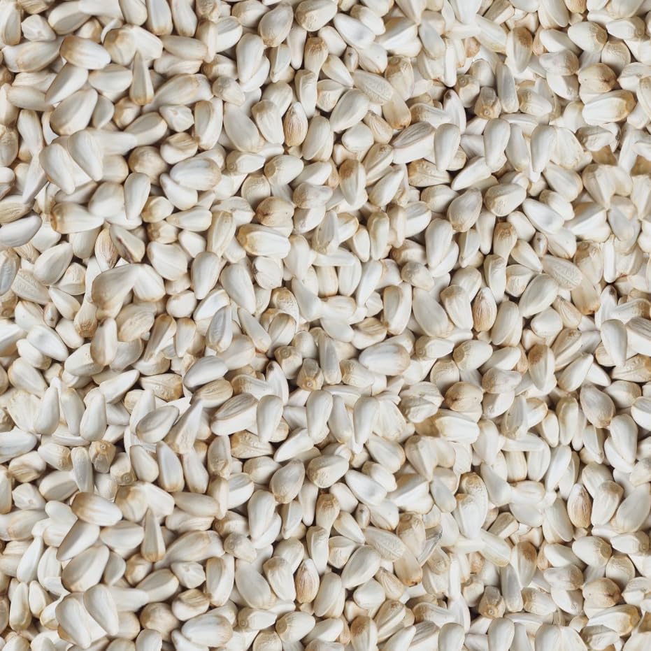 Happy Wings safflower seeds ideal for tube and tray feeders.