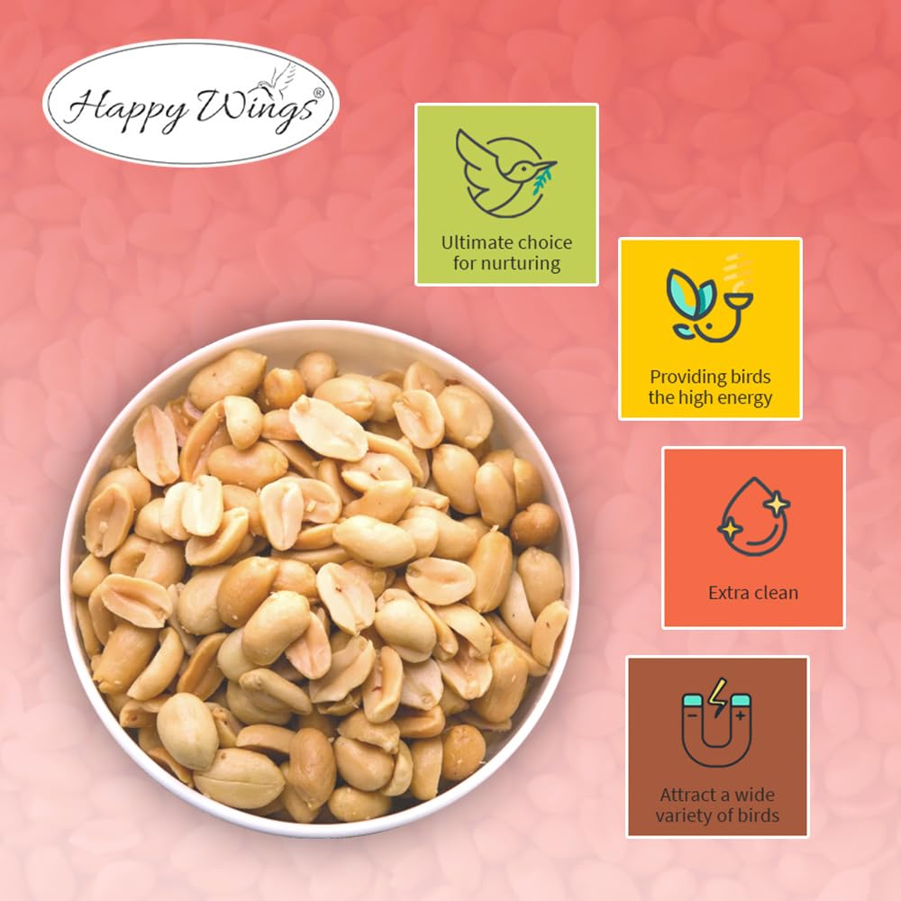 Happy Wings shell-free seeds in a bowl for easy feeding.