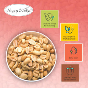 Happy Wings shell-free seeds in a bowl for easy feeding.