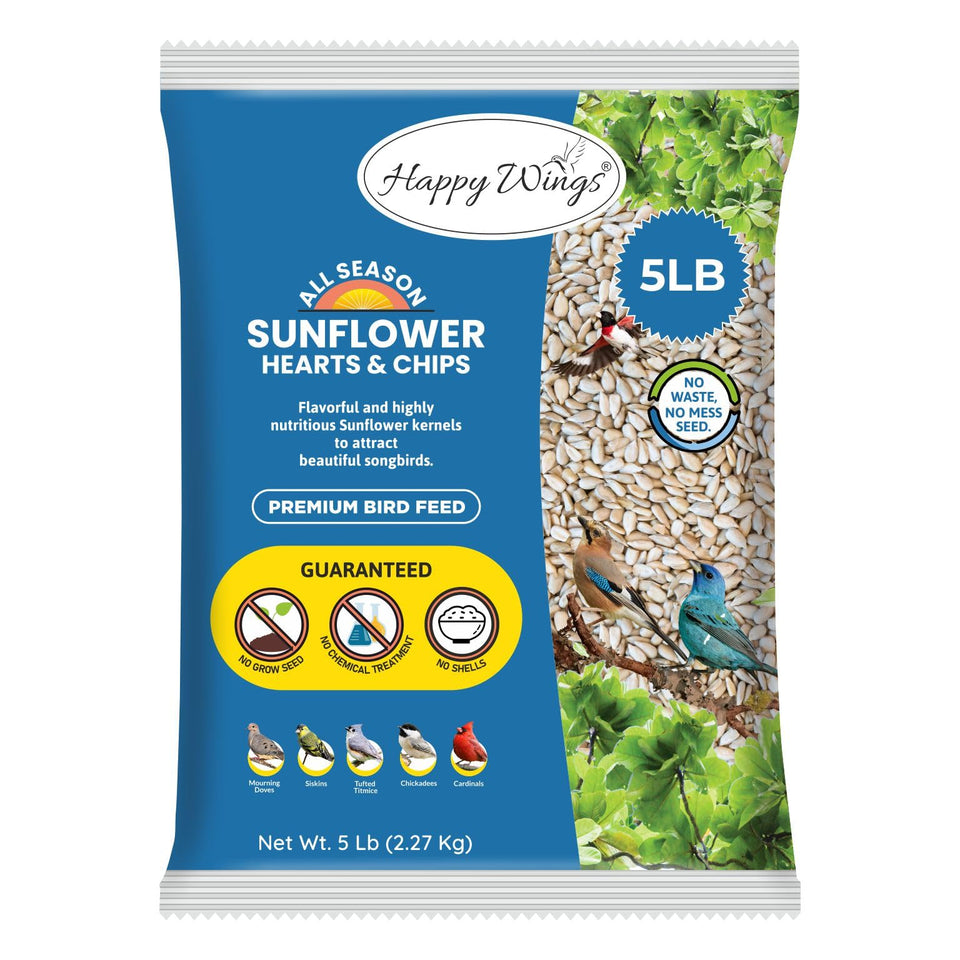 Happy Wings sunflower kernels in a feeder attracting colorful finches