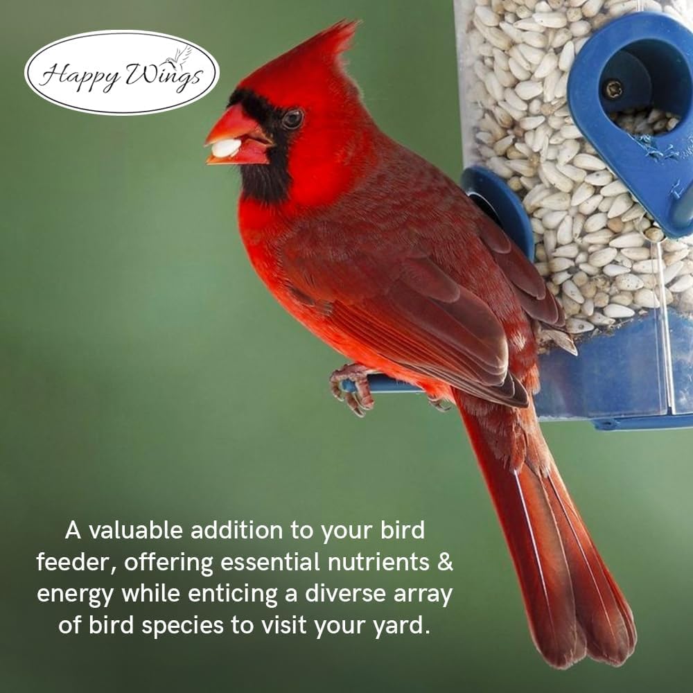 Happy Wings two-pack packaging keeps birds fed all year