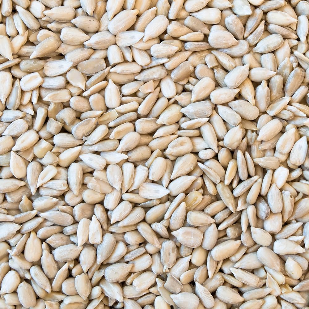 Happy Wings year-round bird nutrition supports energy and plumage