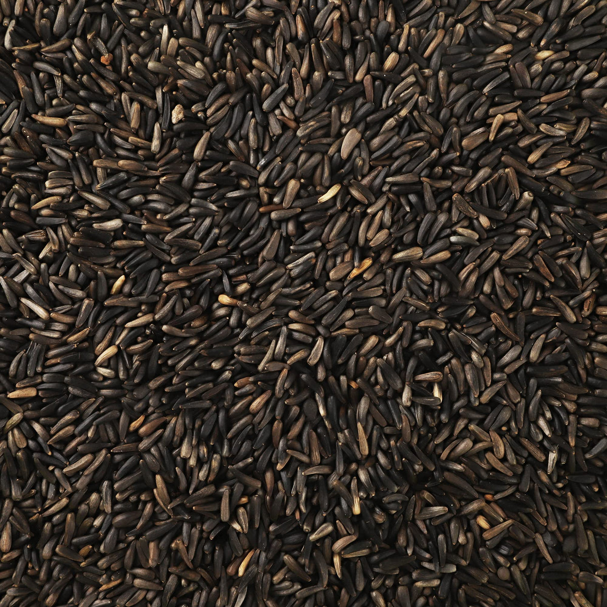 Happy Wings Nyjer seeds outdoor feeding in winter sunshine.