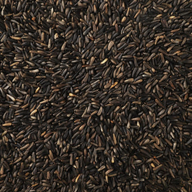 Happy Wings Nyjer seeds outdoor feeding in winter sunshine.