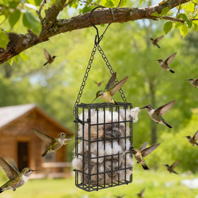 Harhana design invites birds like hummingbirds to explore materials