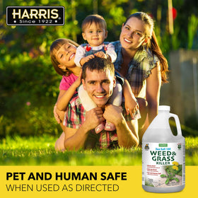 HARRIS 10X Sea Salt Weed Killer foliage desiccation close-up.