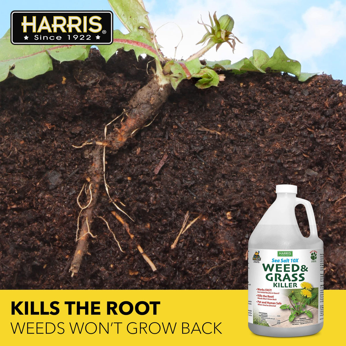 HARRIS 10X Sea Salt Weed Killer spray trigger enables precise application.