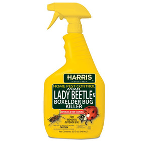 Harris Asian Lady Beetle Killer bottle closeup shows ready-to-use formula for home protection.