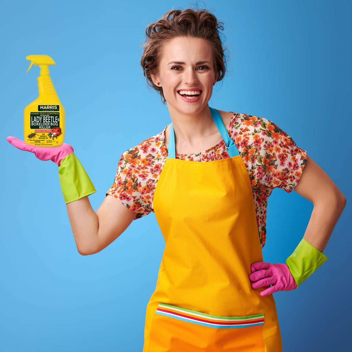Harris Asian Lady Beetle Killer bottle in use shows easy spray coverage.
