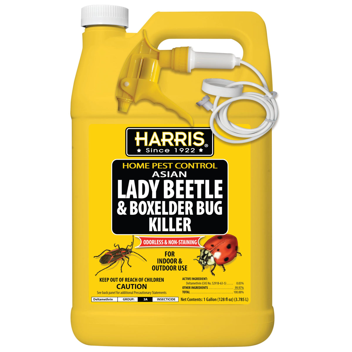 HARRIS Asian Lady Beetle Killer bottle pour enables controlled, long-lasting treatment.