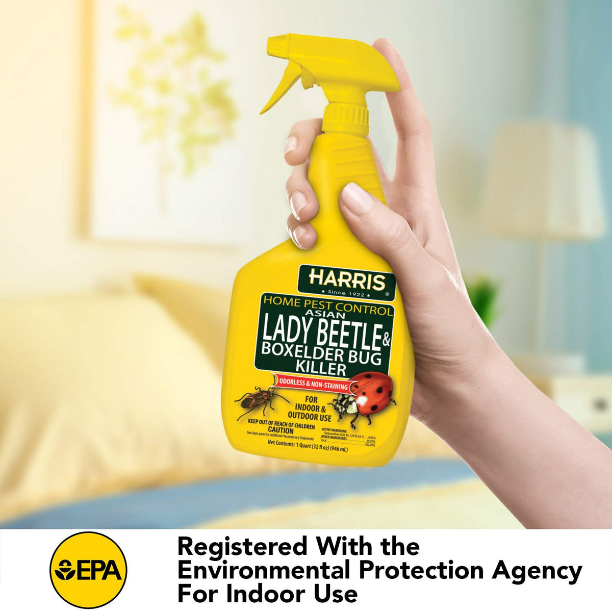 Harris Asian Lady Beetle Killer odorless formula visible on label; no lingering scent.
