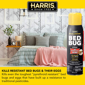 Harris Bed Bug Killer spray on mattress for rapid control