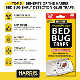HARRIS Bed Bug Traps slid under furniture for discreet monitoring.