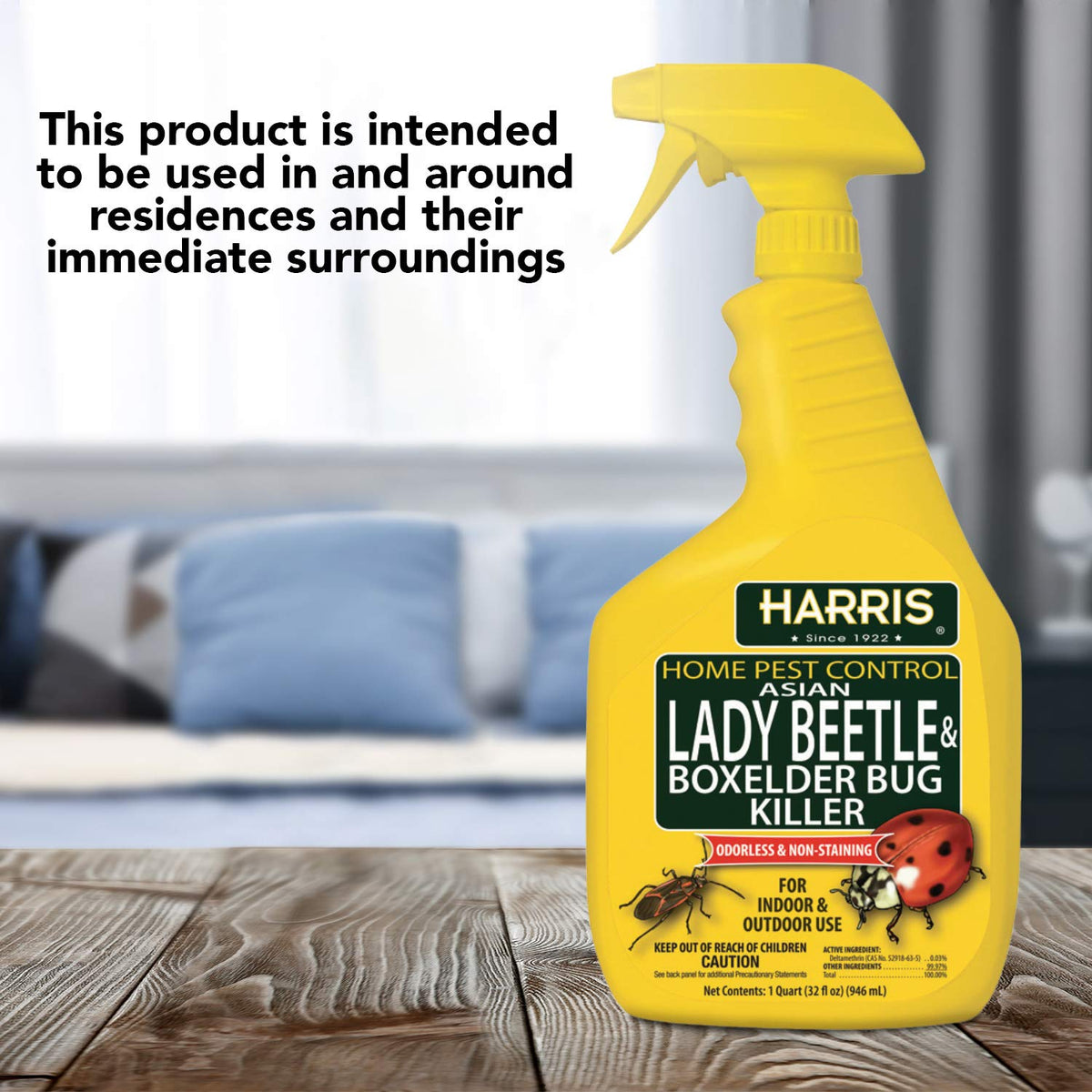 Harris Box Elder Killer coverage across surfaces supports broader beetle control.