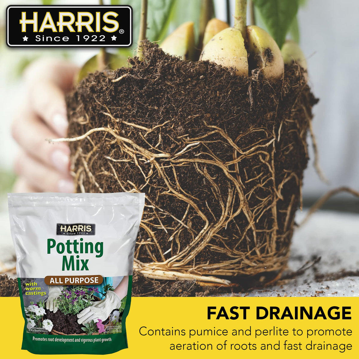 Harris Container Garden Setup with potting soil mix demonstrates organized planters.