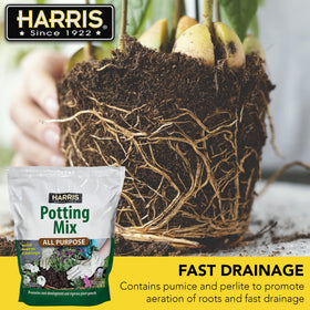 Harris Container Garden Setup with potting soil mix demonstrates organized planters.