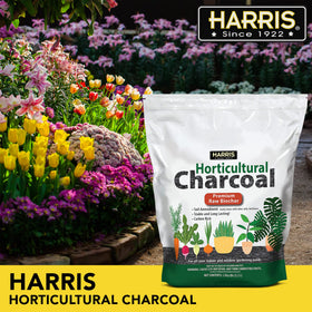 HARRIS Horticultural Charcoal terrarium setup supports soil health with a natural aesthetic.