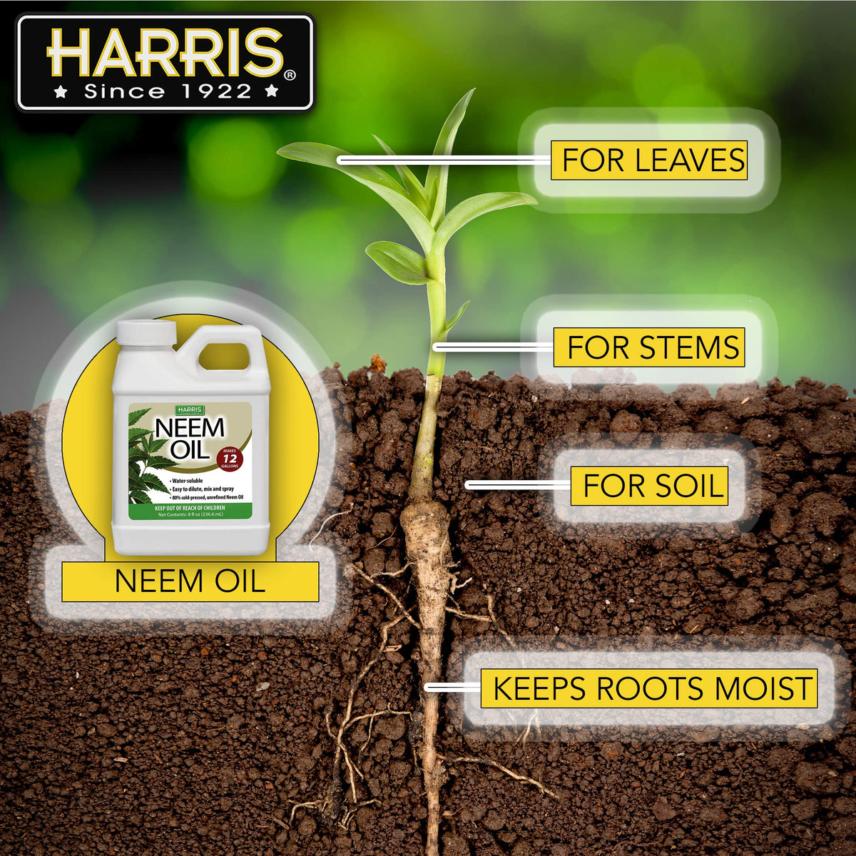 Soil moisture improvement scene with neem oil solution applied to garden beds.