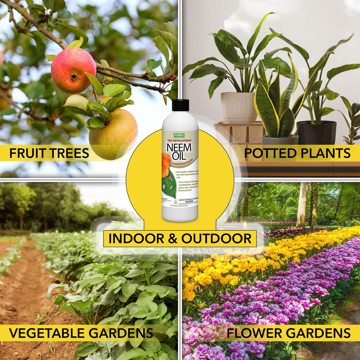 Harris Neem Oil concentrate garden application on outdoor plants for healthy growth.