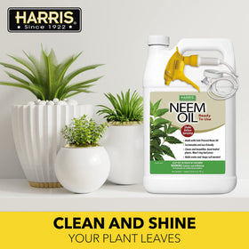 HARRIS Neem Oil Spray spray mist demonstrates even coverage on foliage.