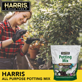 Harris Potting Soil Mix with pumice and perlite shows superior drainage.