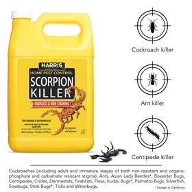 HARRIS Scorpion Killer application areas highlighting baseboards and corners
