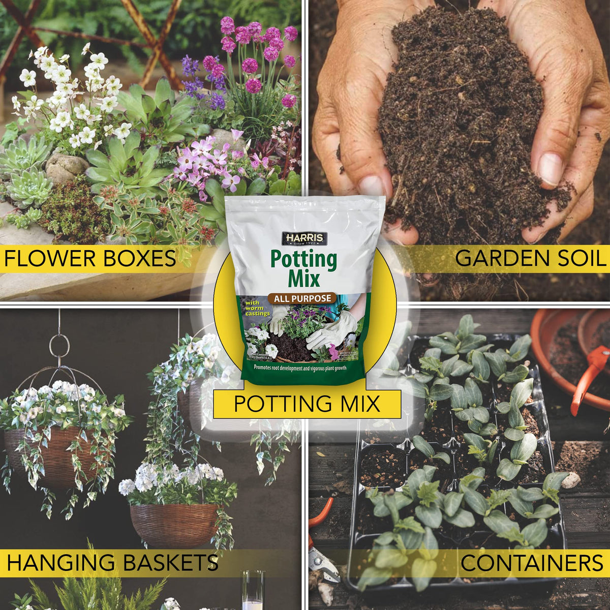 Harris Worm Castings benefit leafy greens with enhanced nutrient availability.