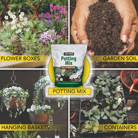 Harris Worm Castings benefit leafy greens with enhanced nutrient availability.