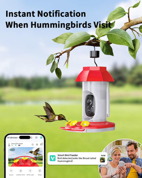 HARYMOR hummingbird feeder outdoor garden setup for easy bird watching.