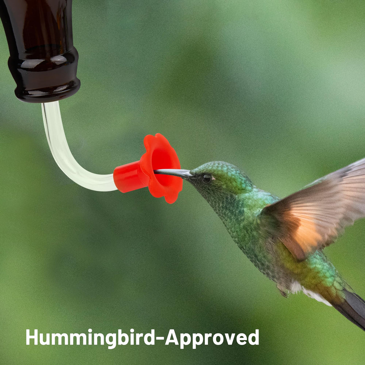 HASSLICKIT fits most outdoor glass feeders for versatile backyard feeding.