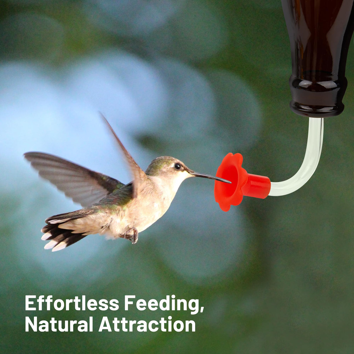 HASSLICKIT durable hummingbird tube designed for long-lasting use and easy cleaning.