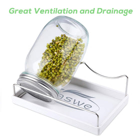 Haswe 316 stainless sprout lid ensures clean, durable sprouting.