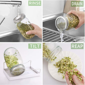 Haswe family-friendly sprouting activity inspires cooking exploration.