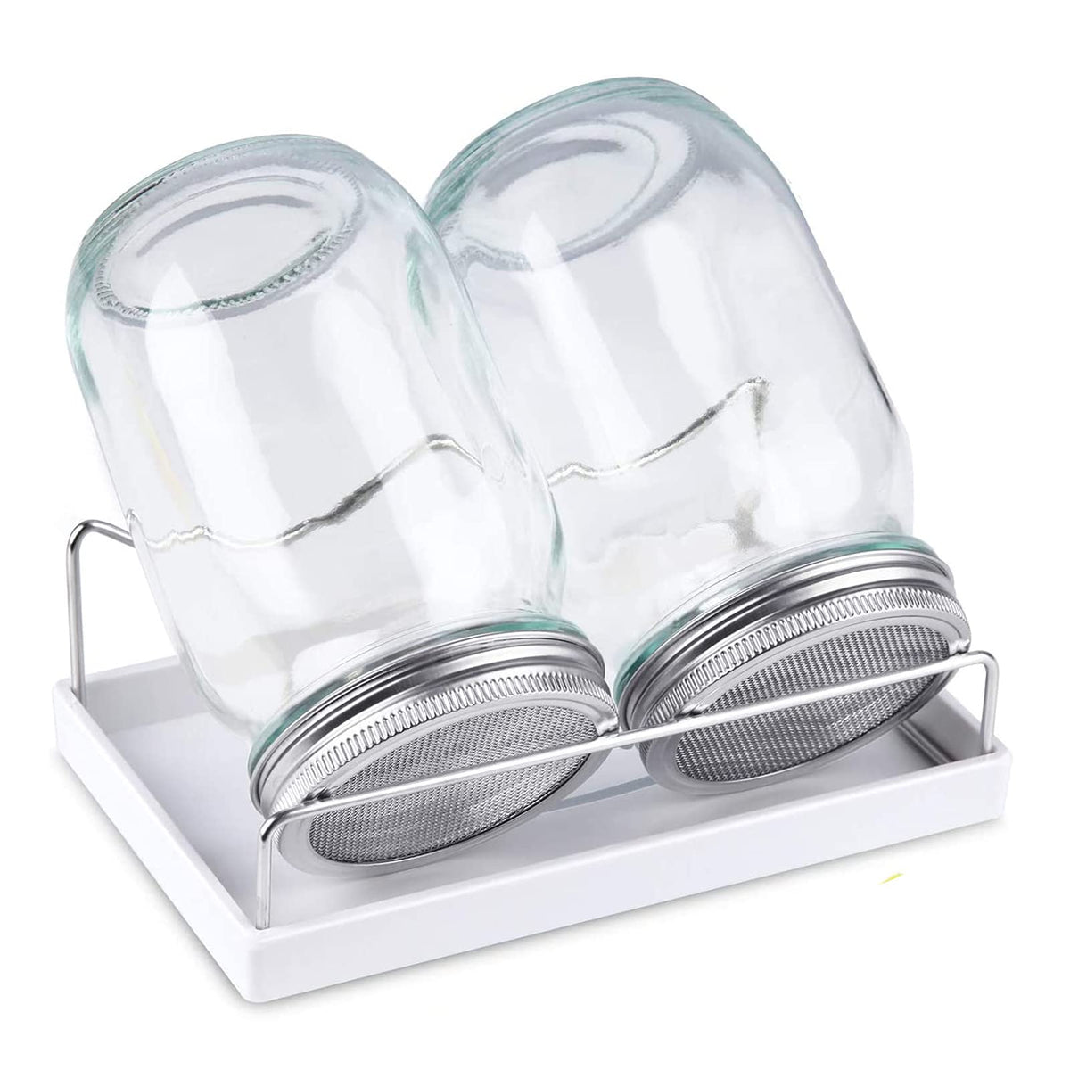 Haswe sprouting jar kit with wide-mouth jars for easy harvest of sprouts.