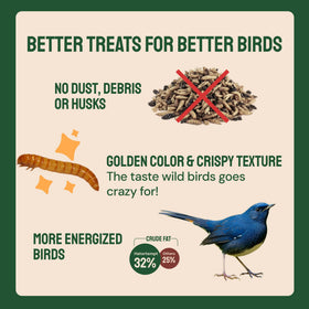 Hatortempt dried mealworms — great for bowls, trays, or ground feeding.