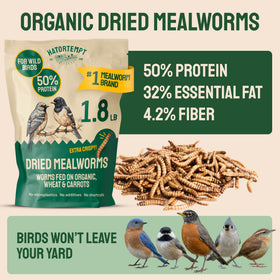 Hatortempt dried mealworms — high-protein energy for birds.