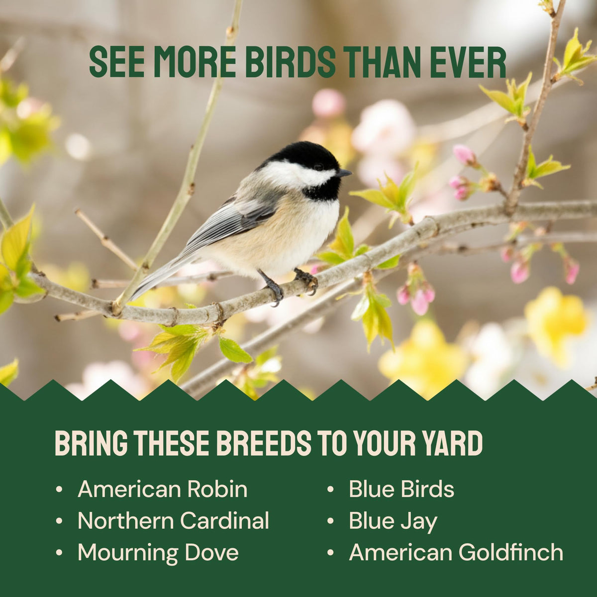 Hatortempt dried mealworms — long shelf life with controlled moisture.