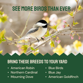 Hatortempt dried mealworms — long shelf life with controlled moisture.