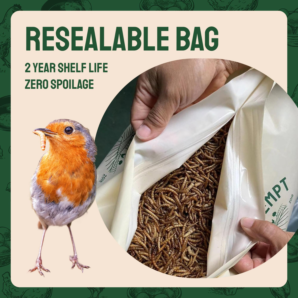 Hatortempt dried mealworms — supports nesting with energy for eggs and chicks.