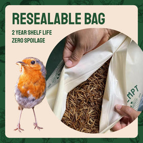 Hatortempt dried mealworms — supports nesting with energy for eggs and chicks.
