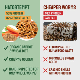 Hatortempt dried mealworms — resealable bag keeps freshness.