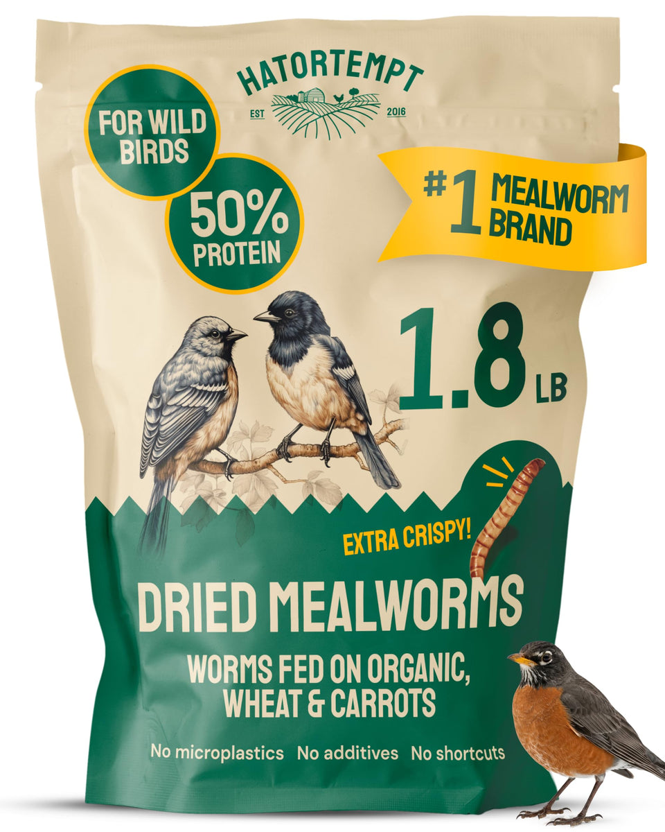 Hatortempt dried mealworms — whole crisp worms at feeder.