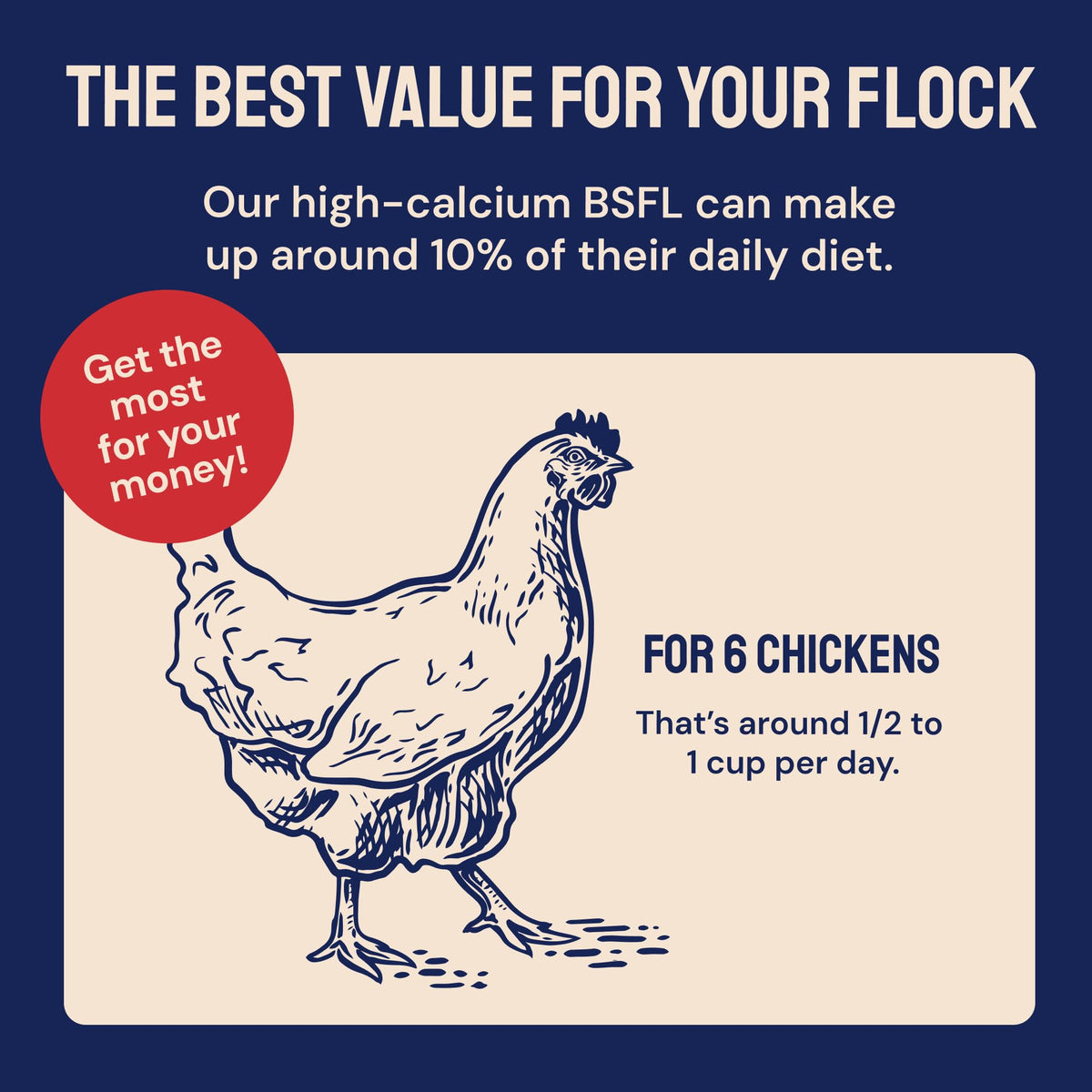 Hatortempt BSF larvae with chili coating offer a flavorful snack that may aid digestion.