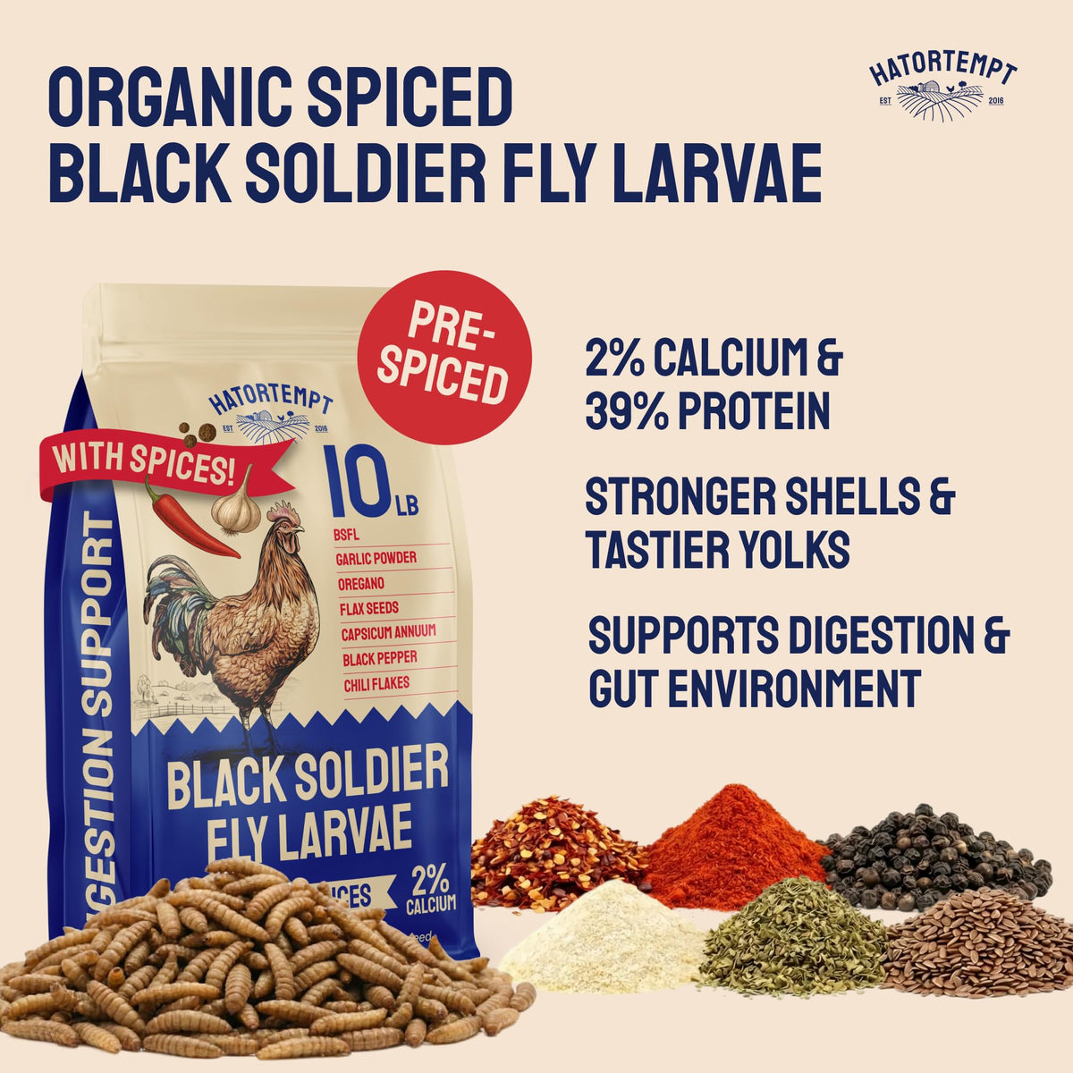 Hatortempt BSF larvae coated with chili mix offer a flavorful treat for laying hens.