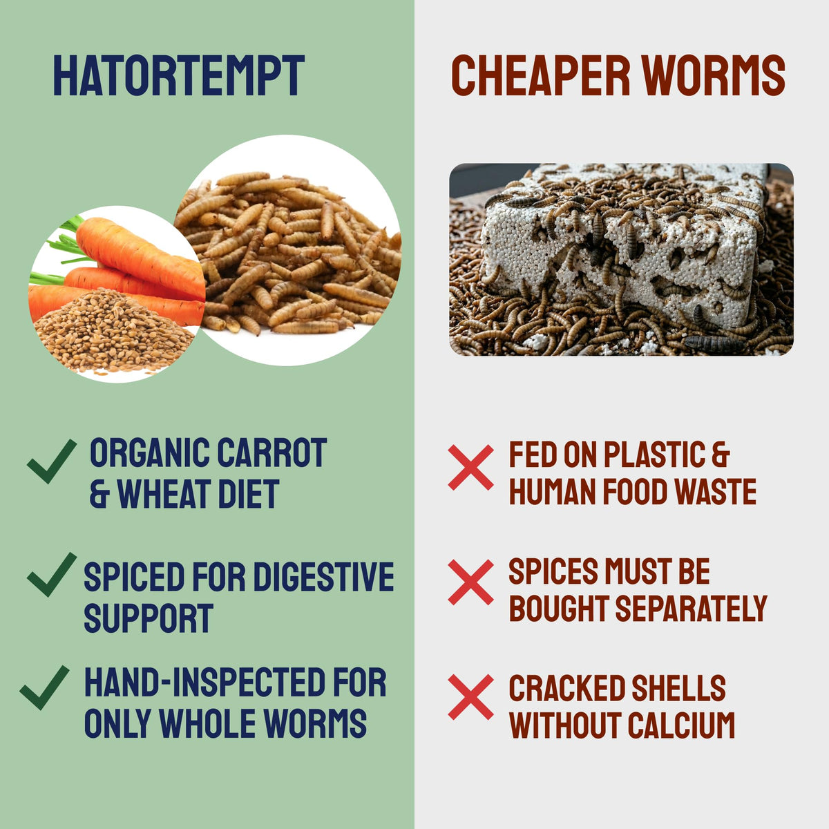 Hatortempt BSF larvae encourage foraging and training during flock enrichment.