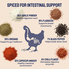 Hatortempt hand-inspected BSF larvae ensure whole grubs, not dust, for quality.